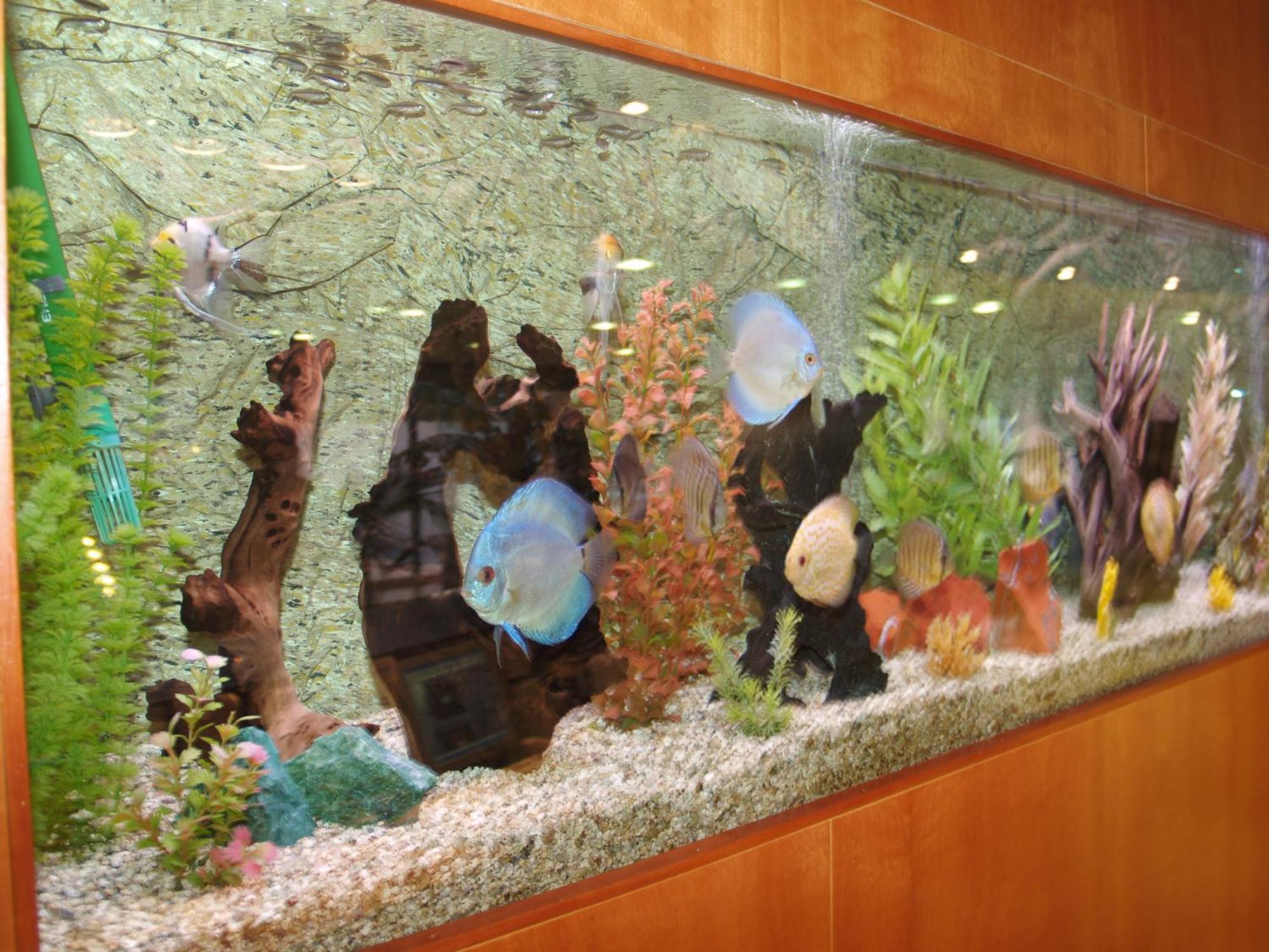 Hotel Montemar Maritim Σάντα Σουζάνα Εξωτερικό φωτογραφία